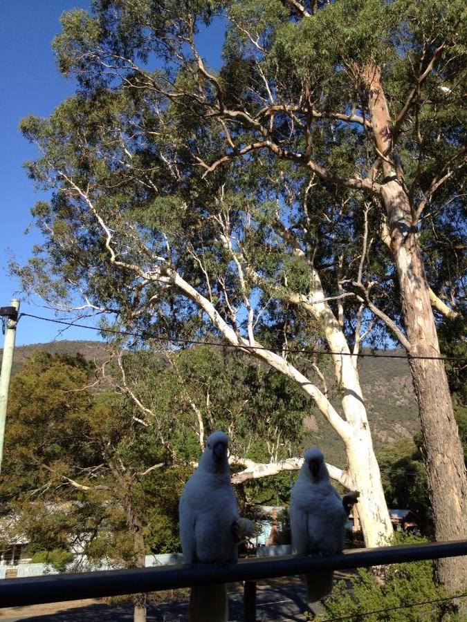 Glengarriff Townhouse 3 Villa Halls Gap Eksteriør bilde